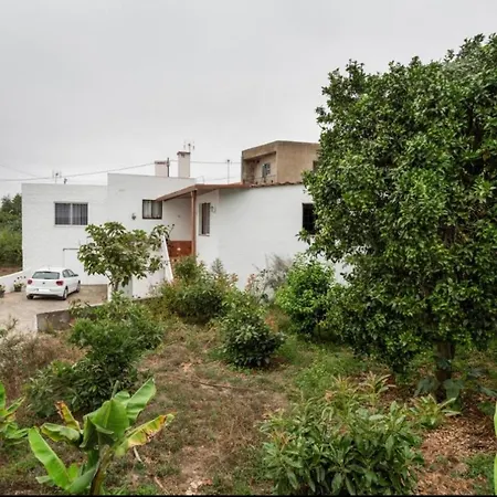 Teide Icod De Los Vinos