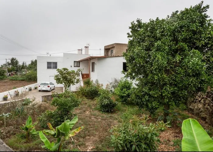 Teide イコー・デ・ロス・ビノス